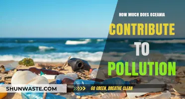 Oceania's Pollution Problem: A Global Impact