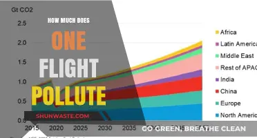 Air Travel's Environmental Impact: Flight Pollution Costs