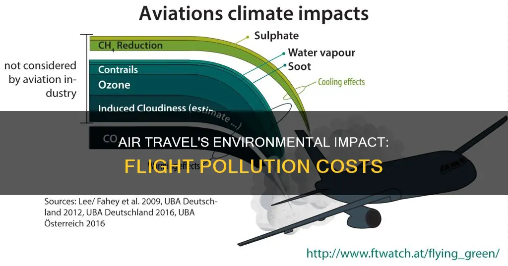 how much does one flight pollute