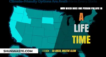 The Environmental Impact of an Individual's Lifetime