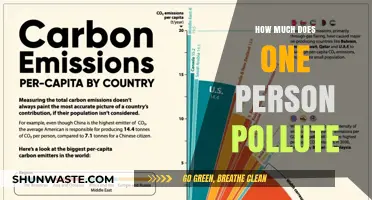 The Carbon Footprint of an Individual: How Much?