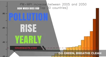 Pollution's Rising Tide: Annual Increase and Impact