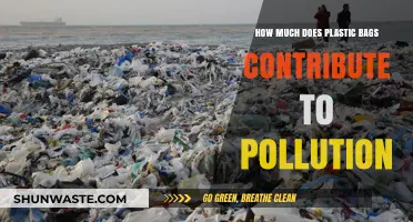 Plastic Bags: A Major Pollution Contributor?