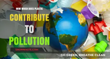 Plastic Pollution: The Overlooked Environmental Crisis