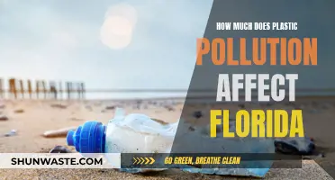 Plastic Pollution's Impact on Florida: Understanding the Devastation