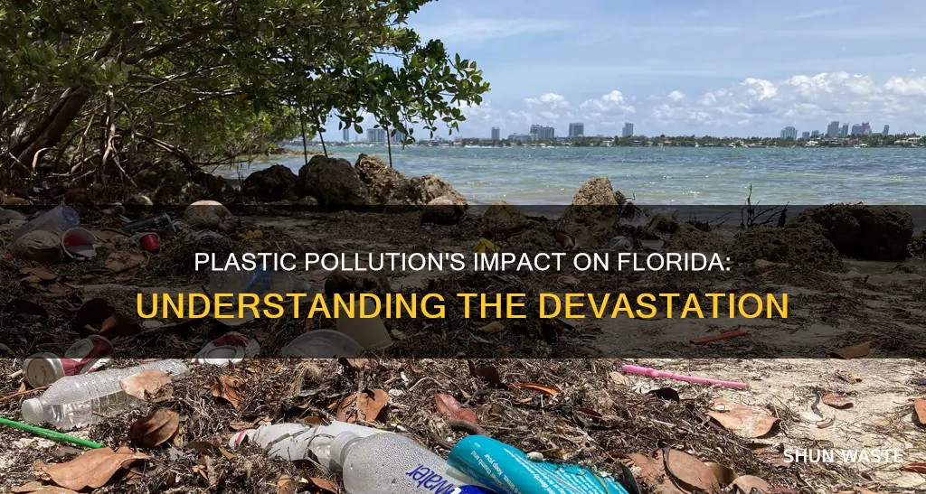 how much does plastic pollution affect florida