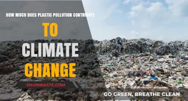 Plastic Pollution's Climate Impact: A Growing Concern