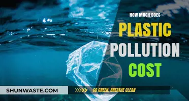 Plastic Pollution: The Costly Global Crisis
