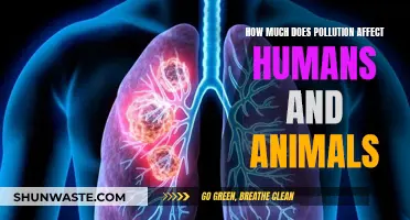 Pollution's Impact: Human and Animal Health at Risk