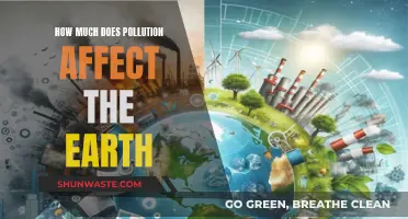 Pollution's Impact: Earth's Future in Danger