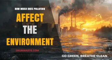 Pollution's Devastating Impact: Unveiling Environmental Consequences and Urgent Solutions