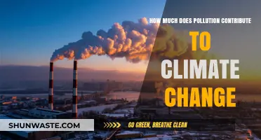 Pollution's Impact: Climate Change's Dark Reality