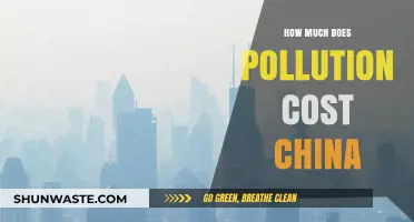 The Economic Impact of Pollution in China