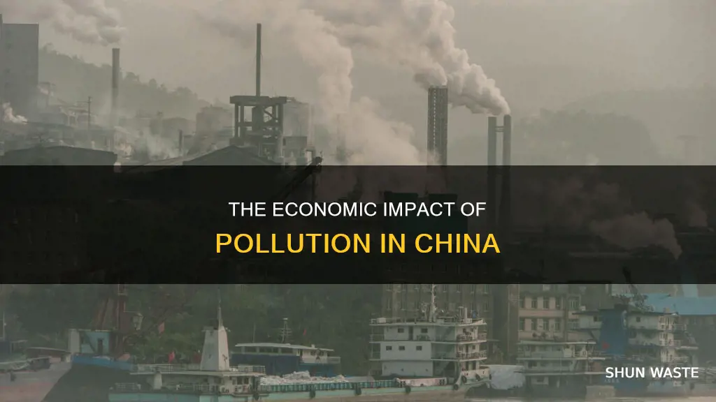 how much does pollution cost china
