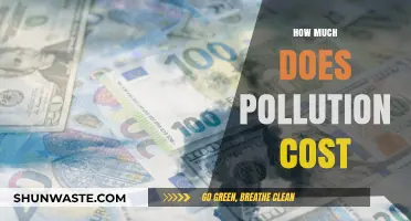 Pollution's Cost: The Price of Environmental Degradation