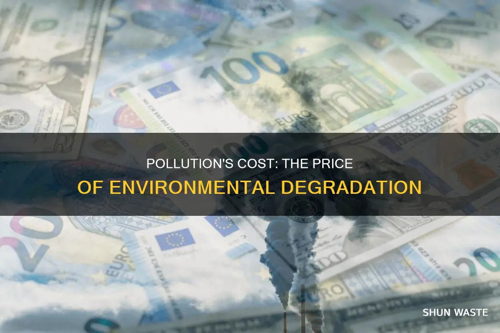 how much does pollution cost
