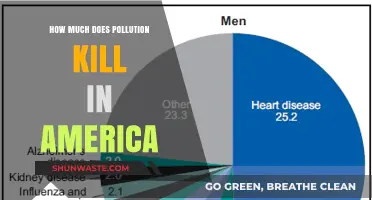 Pollution's Deadly Toll: America's Hidden Health Crisis
