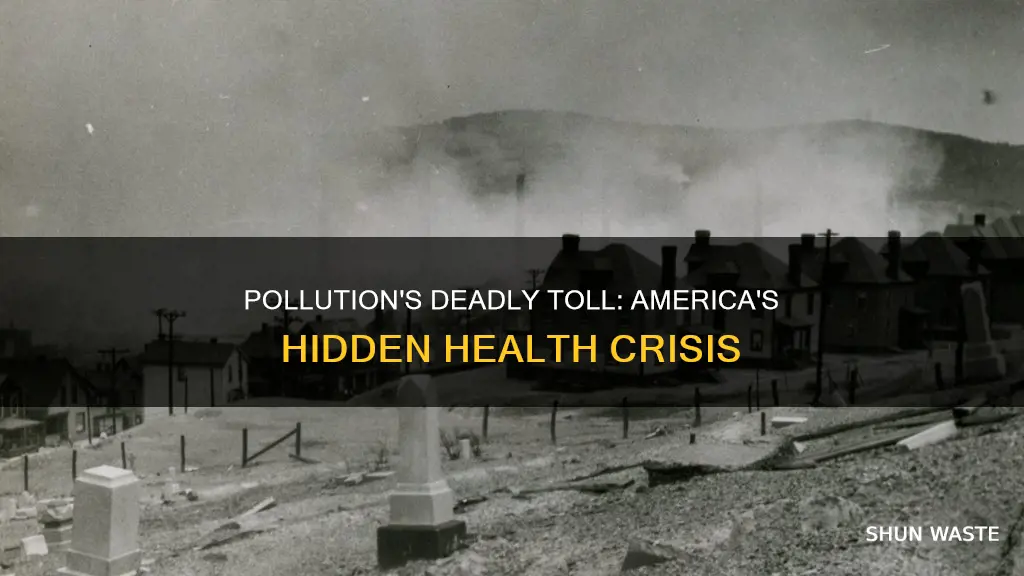 how much does pollution kill in america