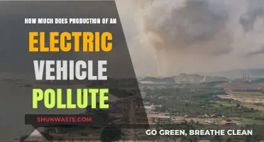 Electric Vehicle Production: What's the Environmental Cost?