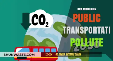 Public Transportation's Environmental Impact: Polluting Our Planet?