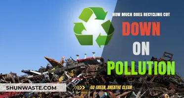 Recycling: Reducing Pollution, Saving the Planet