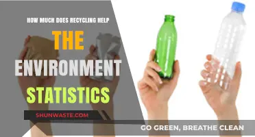 Recycling's Environmental Impact: Key Statistics and Benefits Revealed