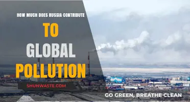 Russia's Pollution Contribution: Global Impact Analysis