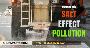 Salt's Impact on Pollution: A Complex Environmental Issue