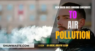 Smoking's Impact: Air Pollution and Health Risks