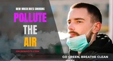 Smoking's Impact: Air Pollution and Health Risks