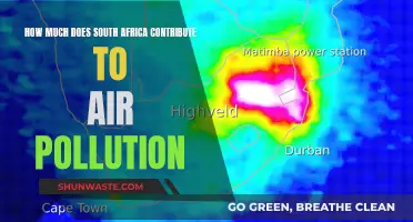 South Africa's Air Pollution: What's the Impact?