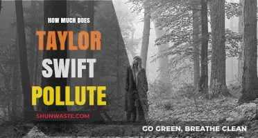 Taylor Swift's Environmental Impact: Pollution and Music
