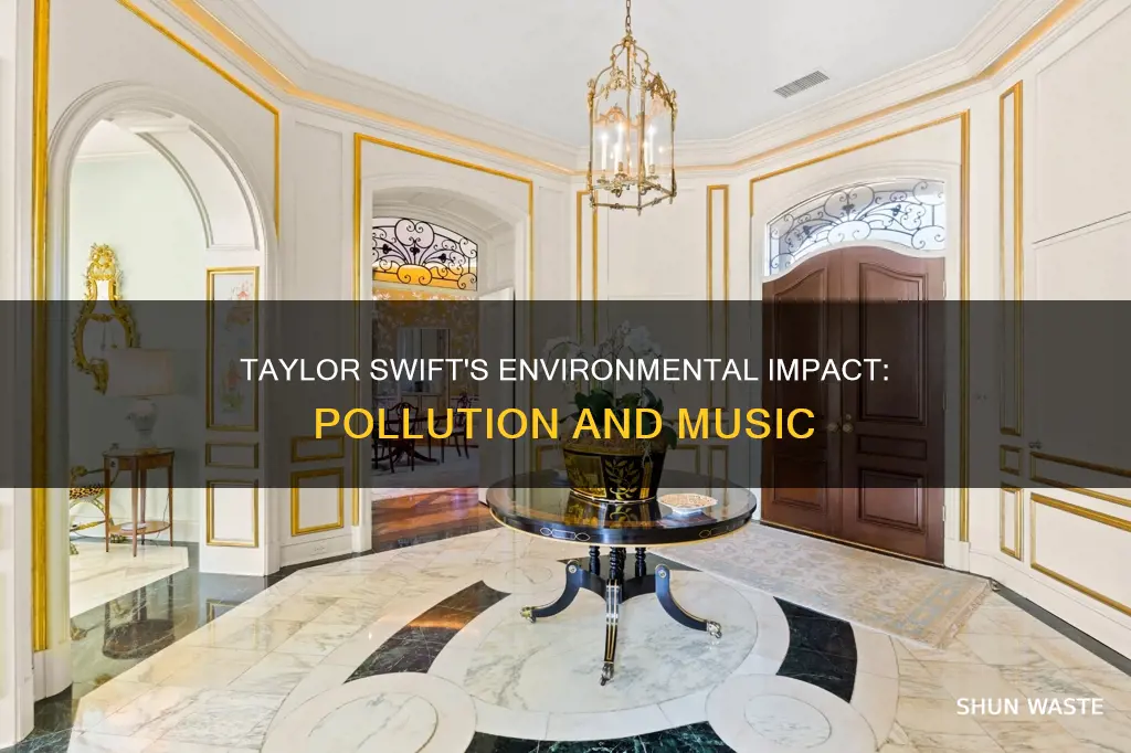 how much does taylor swift pollute