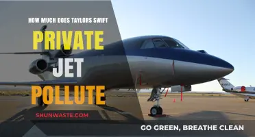 Taylor Swift's Private Jet: The Pollution Factor