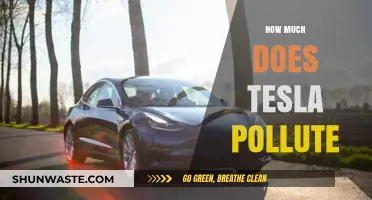 Tesla's Pollution: What's the Real Cost?