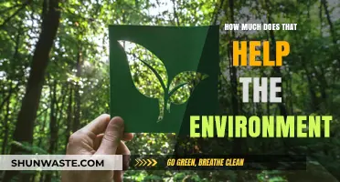 Eco-Friendly Choices: Measuring Their Impact on Our Environment