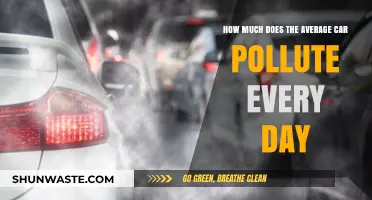 Cars: Daily Pollution and Its Impact
