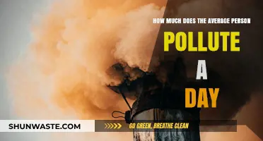 The Average Person's Daily Pollution Problem