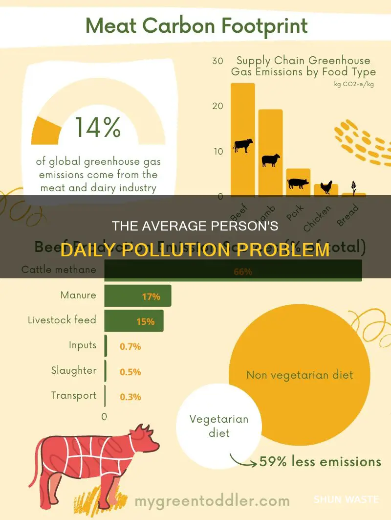 how much does the average person pollute a day