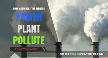 Power Plant Pollution: What's the Real Damage?