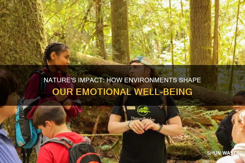 how much does the environment affect emotions