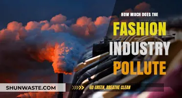 Fashion Industry's Pollution: A Dark Secret Revealed