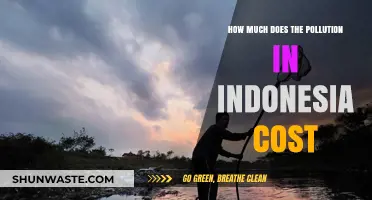 The Economic Impact of Indonesia's Pollution Crisis