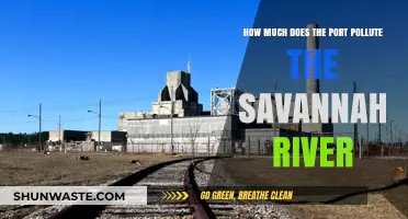 The Savannah River: Port Pollution Problems
