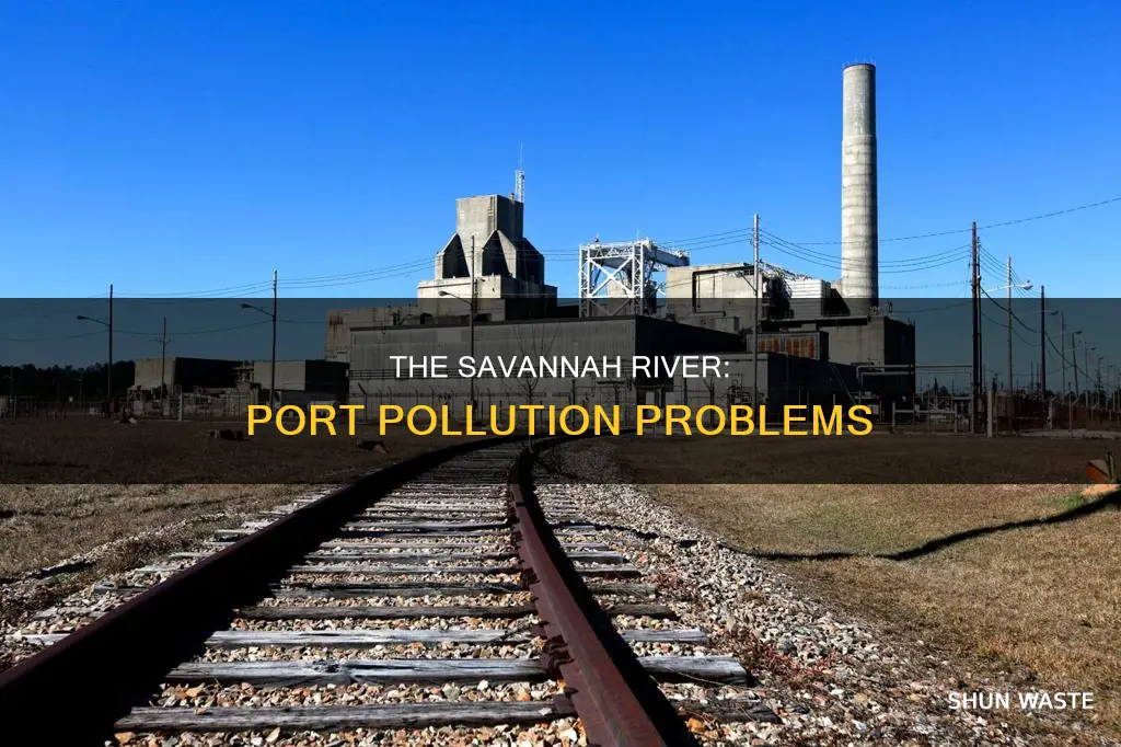 how much does the port pollute the savannah river