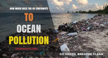 US Ocean Pollution: What's the Damage?