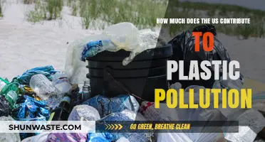 US Plastic Pollution: Global Impact and Responsibility