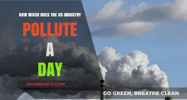 US Industry Pollution: A Daily Crisis