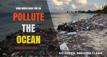 Ocean Pollution: America's Impact on the Blue