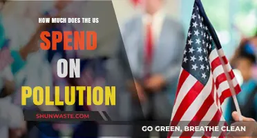 The US Pollution Problem: What's the Cost?
